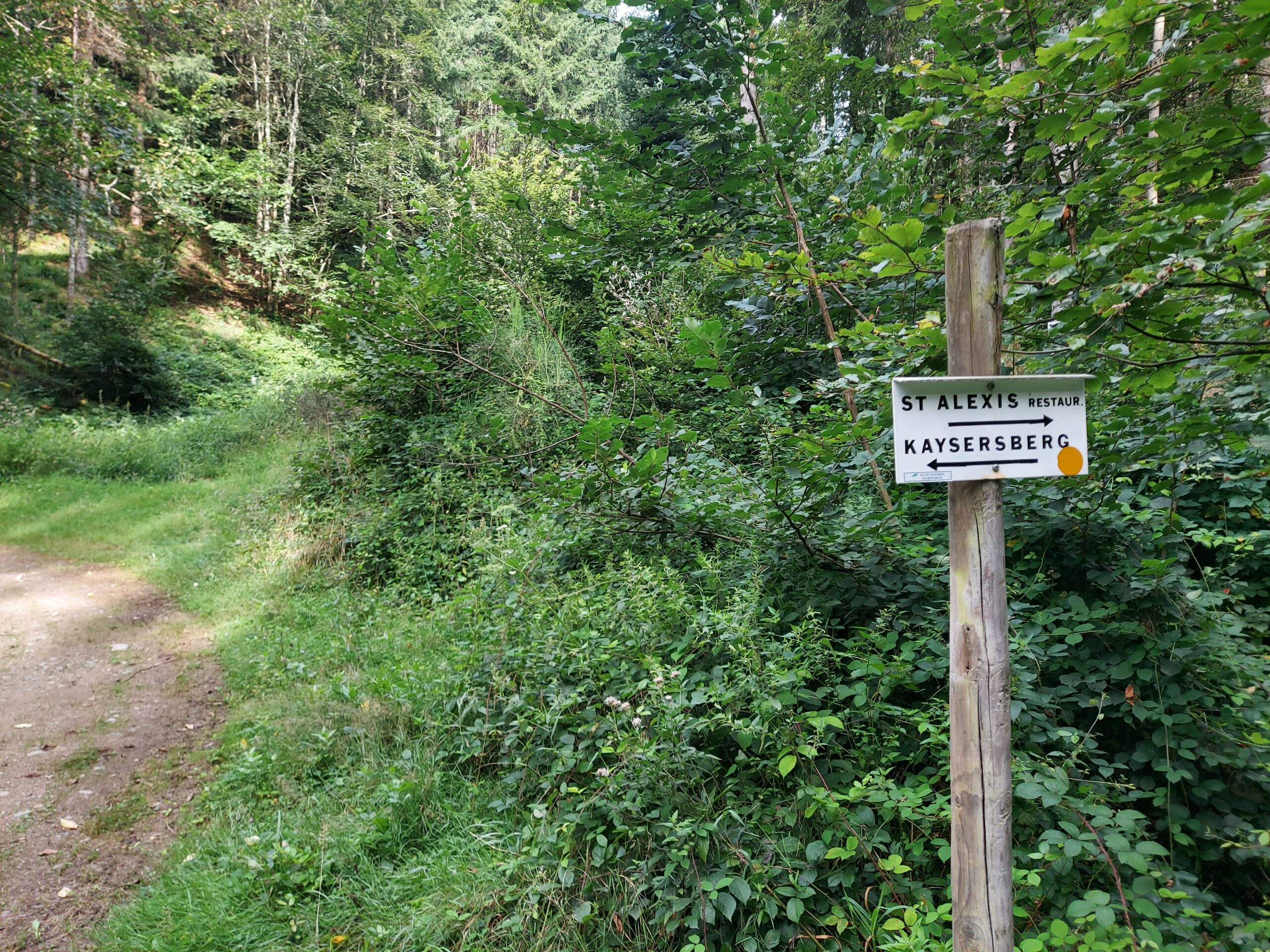 Randonnée gourmet dans la Vallée de Kaysersberg – Image 6