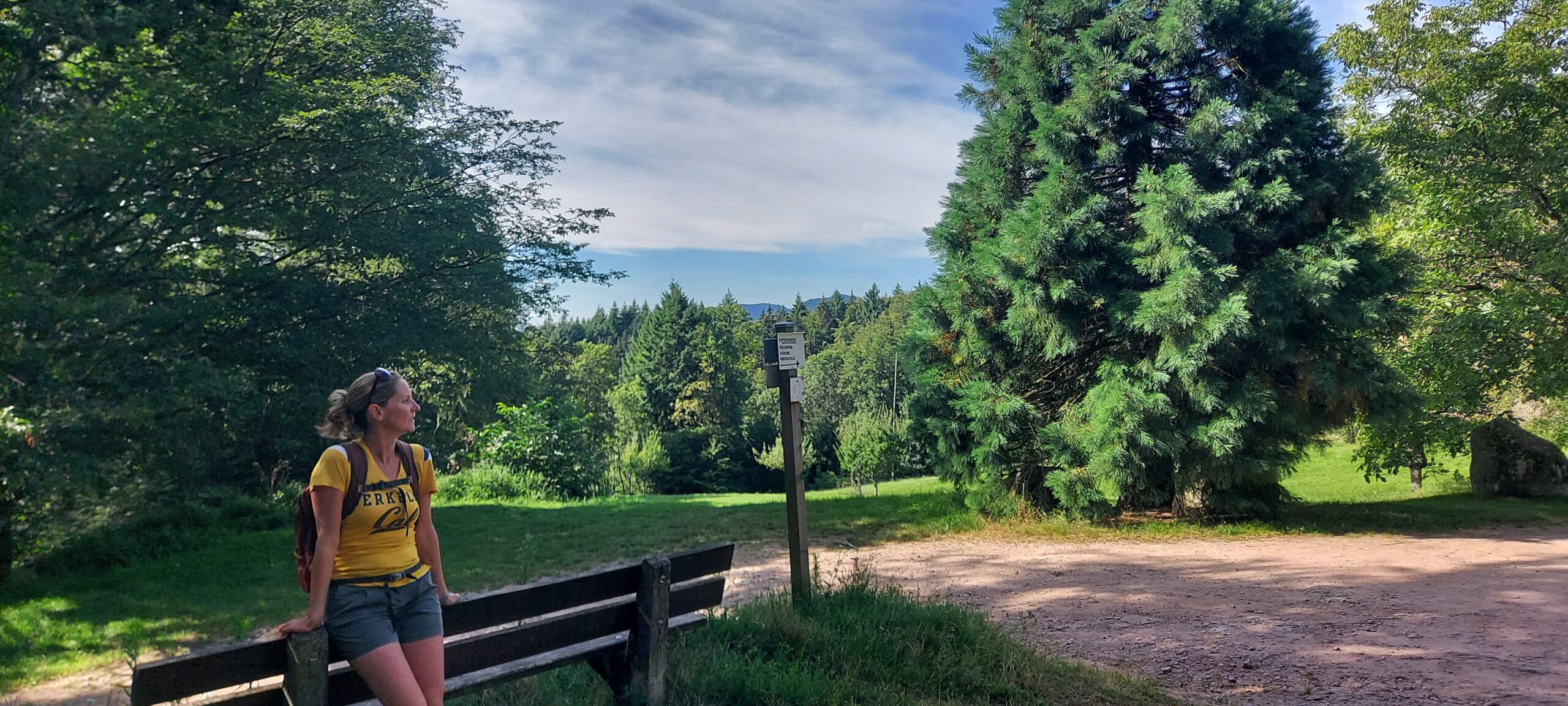 Randonnée gourmet dans la Vallée de Kaysersberg – Image 8