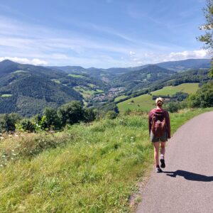 Tour d'Horizon in de Kaysersberg vallei