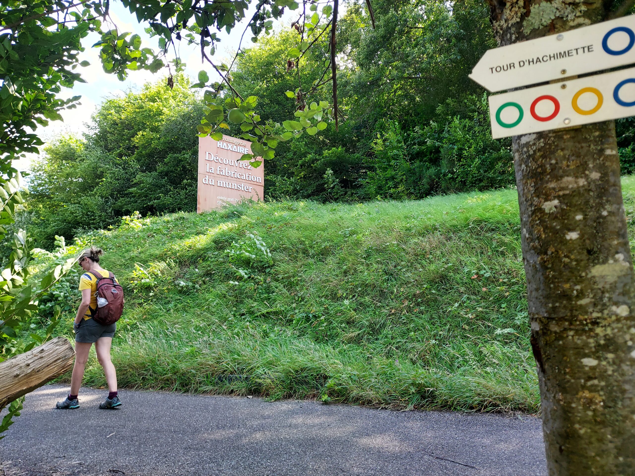 Randonnée gourmet dans la Vallée de Kaysersberg – Image 5