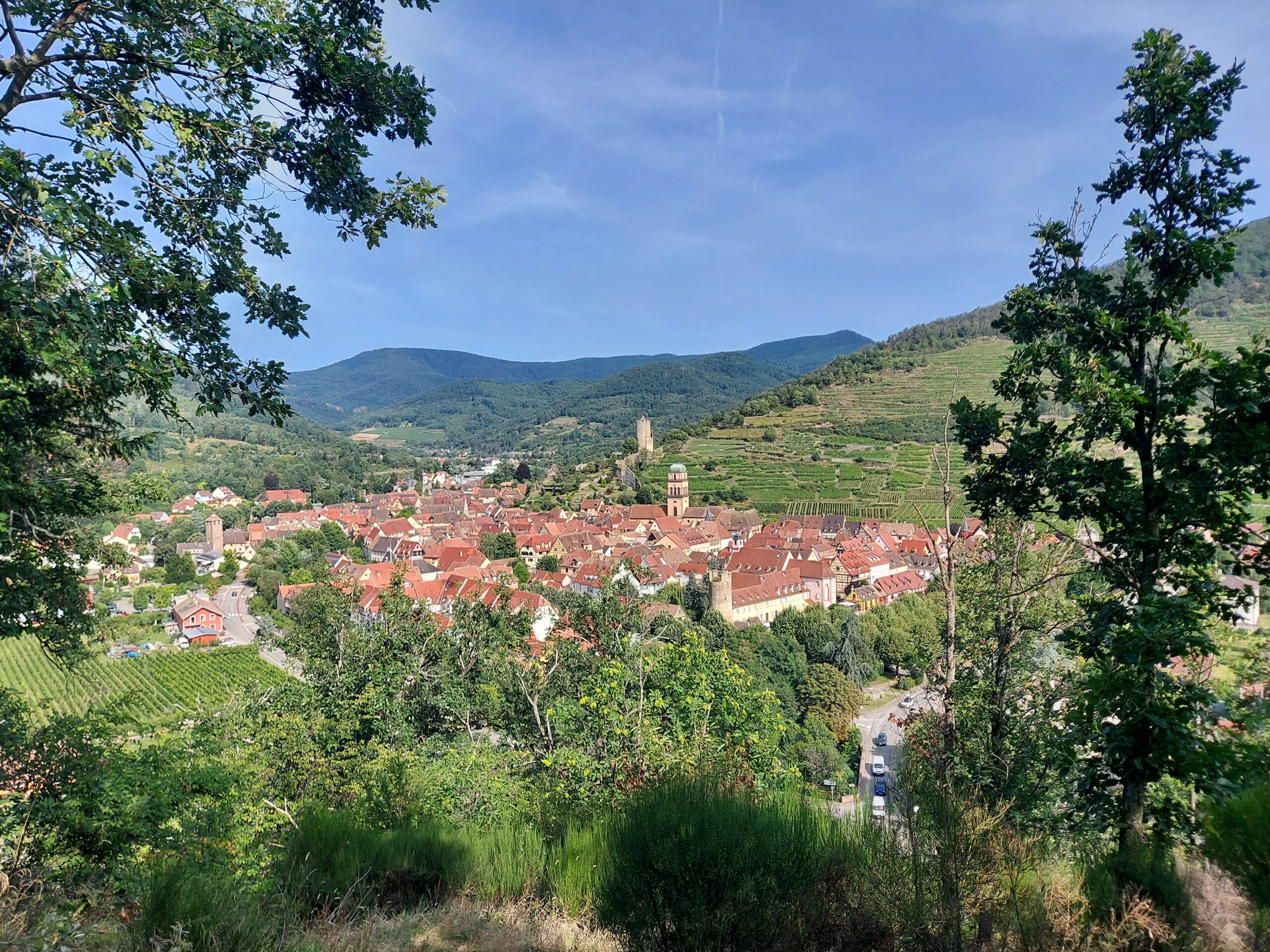 Randonnée gourmet dans la Vallée de Kaysersberg – Image 15