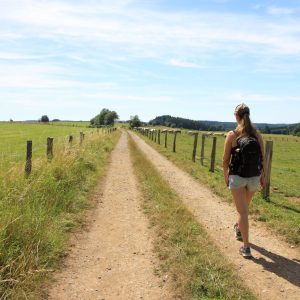 Chemoin de randonnée pédestre la Transardennaise