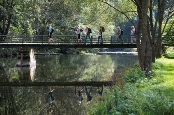 Wandelen: Escapardenne Eislek Trail