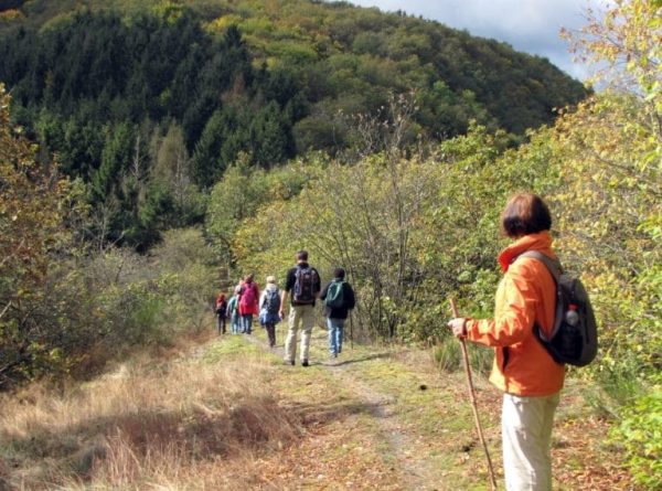 Hiking: Escapardenne Eislek Trail