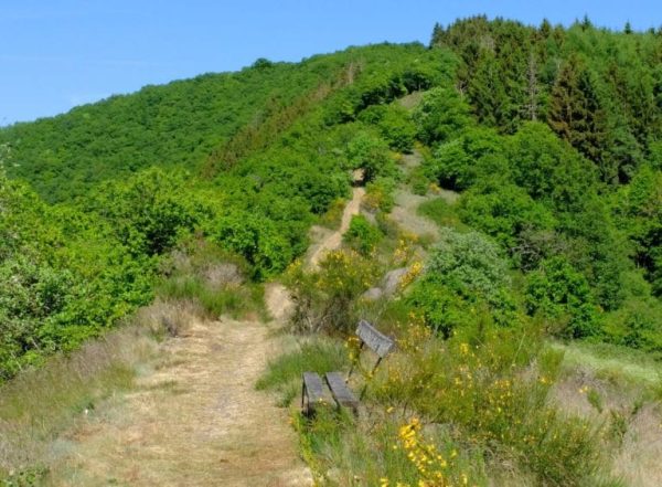 Hiking: Escapardenne Eislek Trail