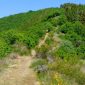Randonnée : Escapardenne Eislek Trail