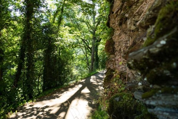 Wandelen: Escapardenne Eislek Trail