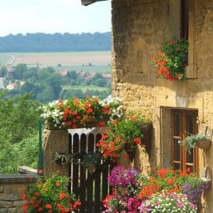 Flowered frontage with sunny Gaumaise valley background