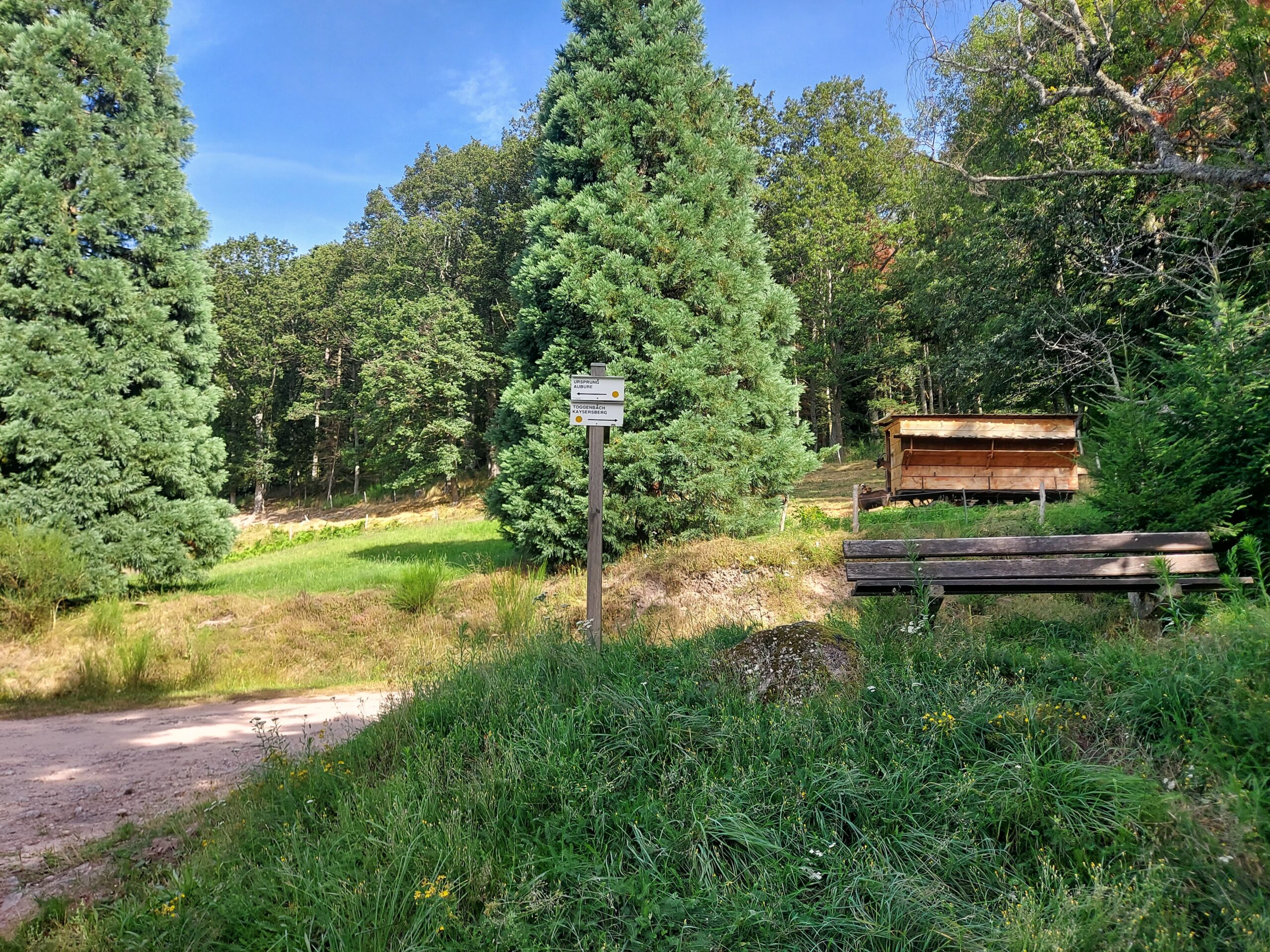 Tour d'Horizon dans la vallée du Kaysersberg – Image 4
