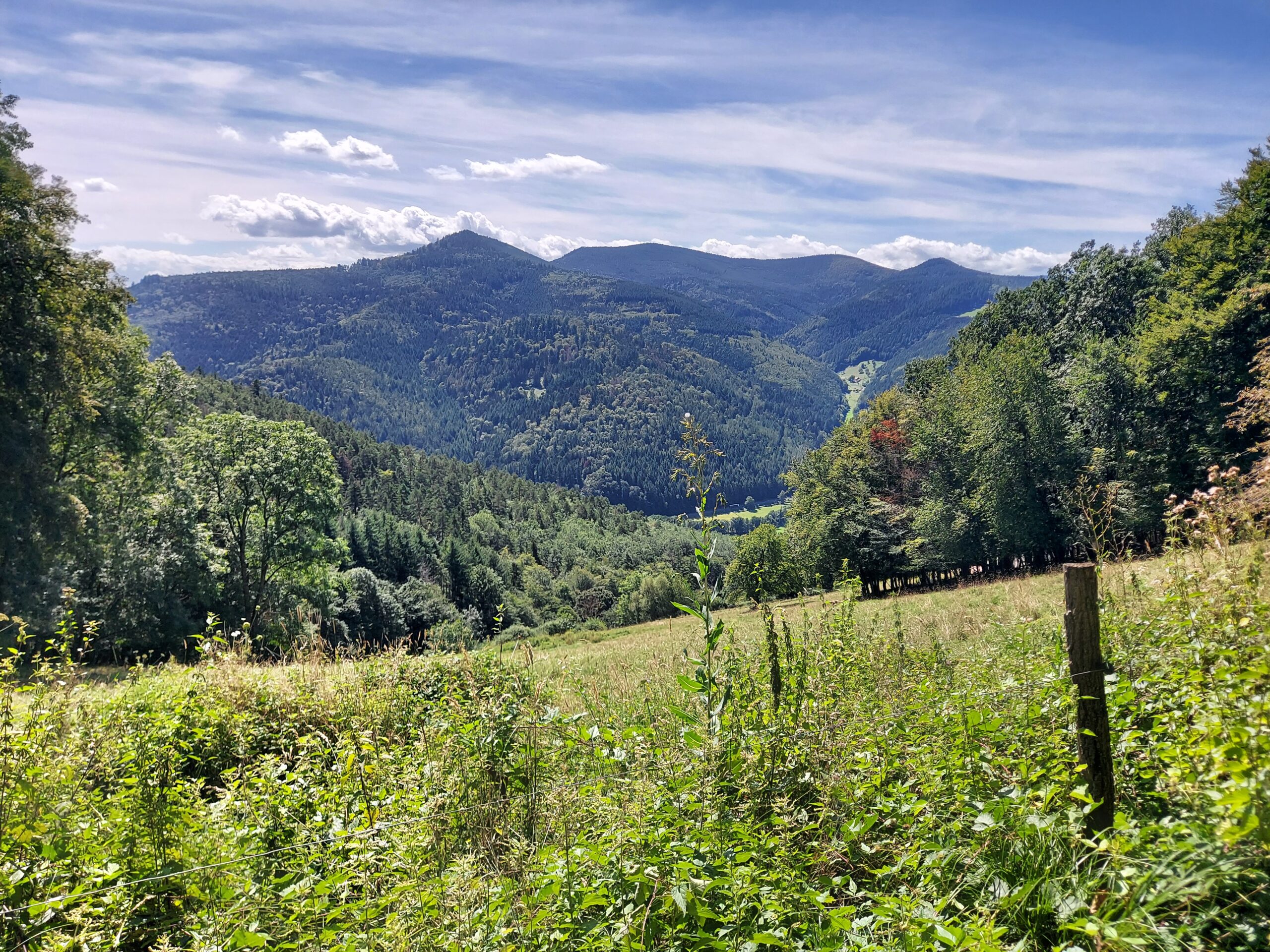 Tour d'Horizon dans la vallée du Kaysersberg – Image 18