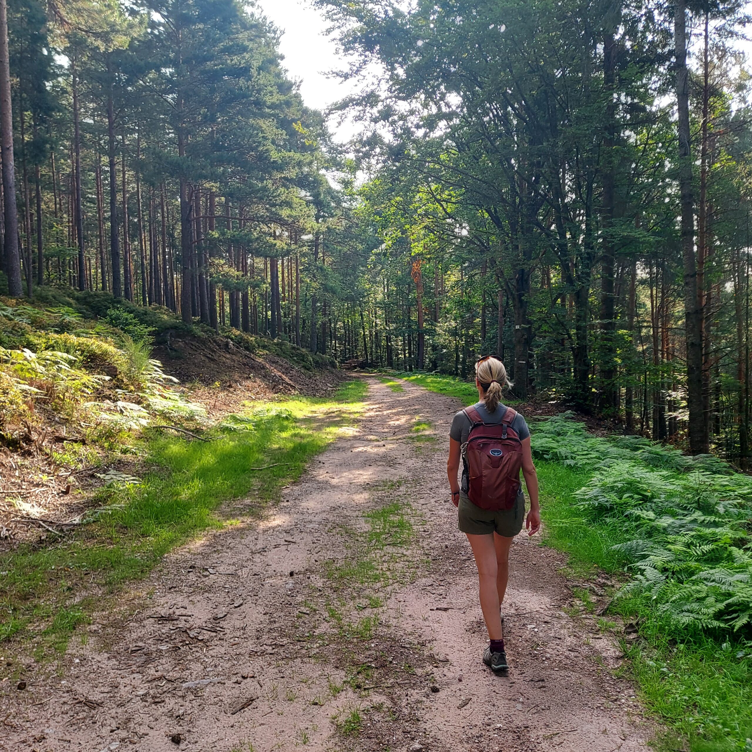 Tour d'Horizon dans la vallée du Kaysersberg – Image 6