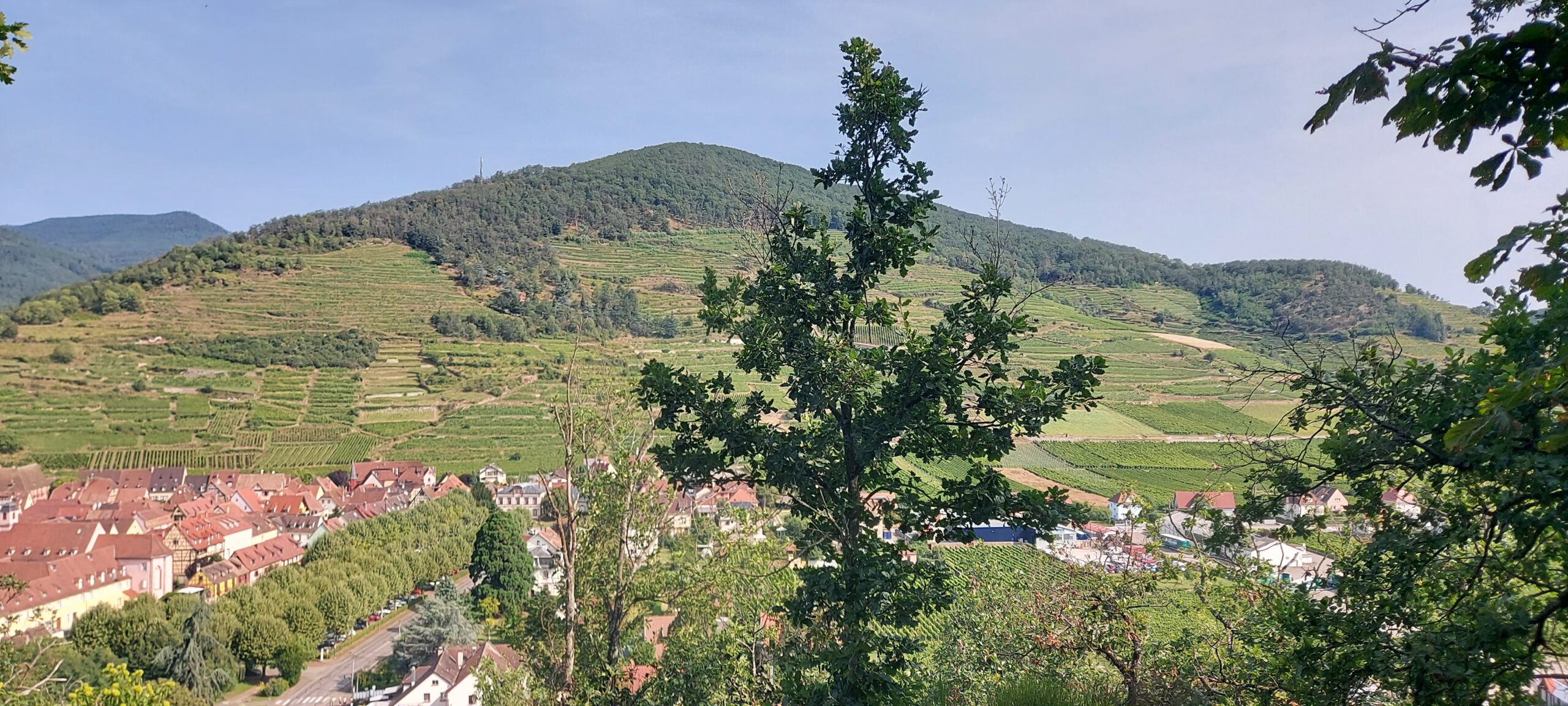 Tour d'Horizon dans la vallée du Kaysersberg – Image 8