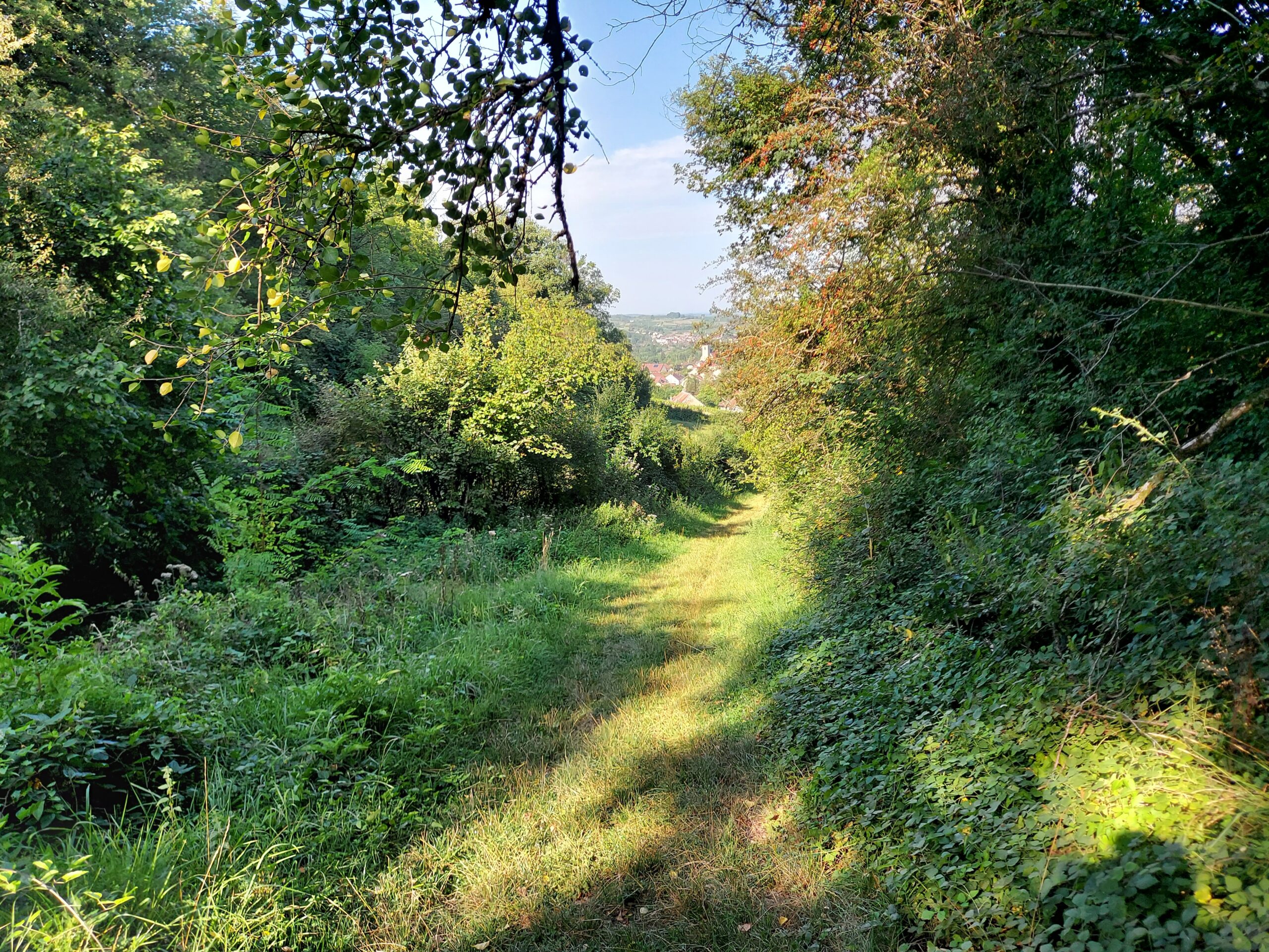 De Grande Traversée du Jura te voet - Afbeelding 7