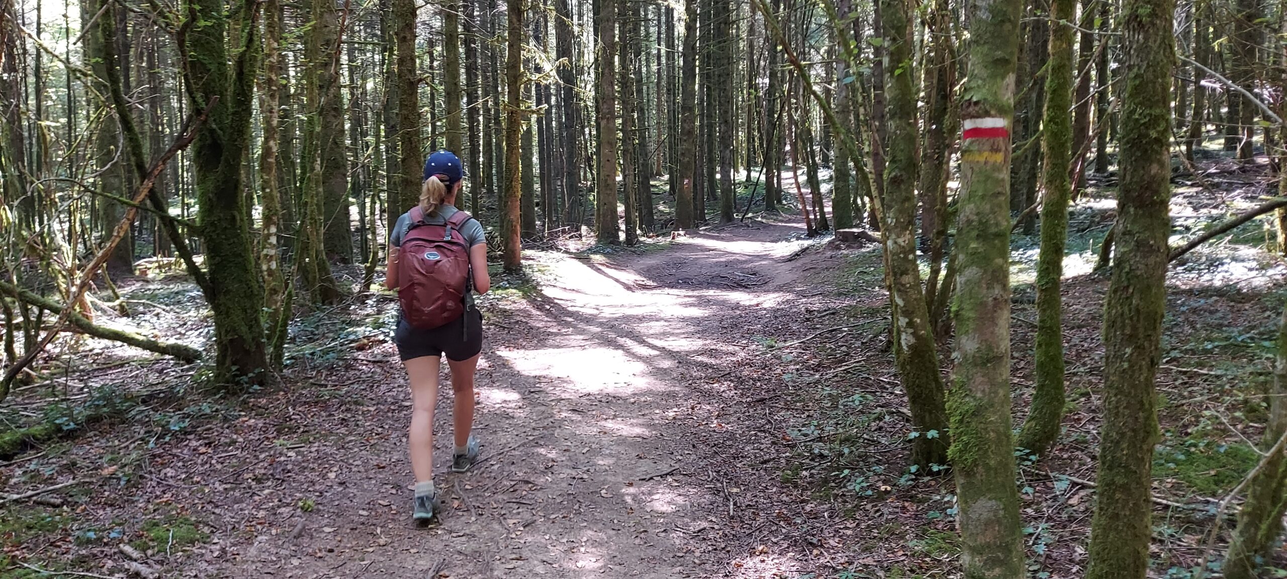 De Grande Traversée du Jura te voet - Afbeelding 10