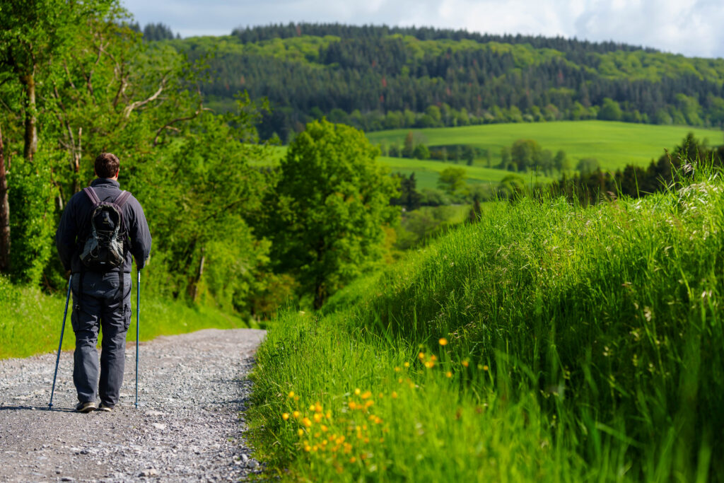 Un randonneur avec un sac à dos et des bâtons de marche suit un chemin de gravier entouré de verdure luxuriante dans les Ardennes belges.