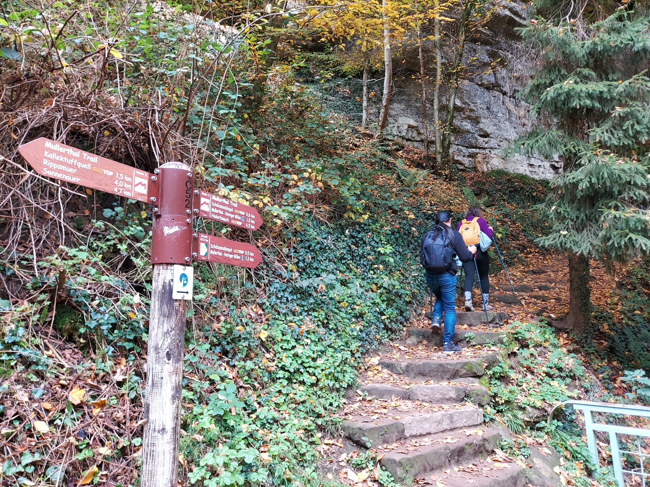 Mullerthal - Gastronomic walk - Image 7