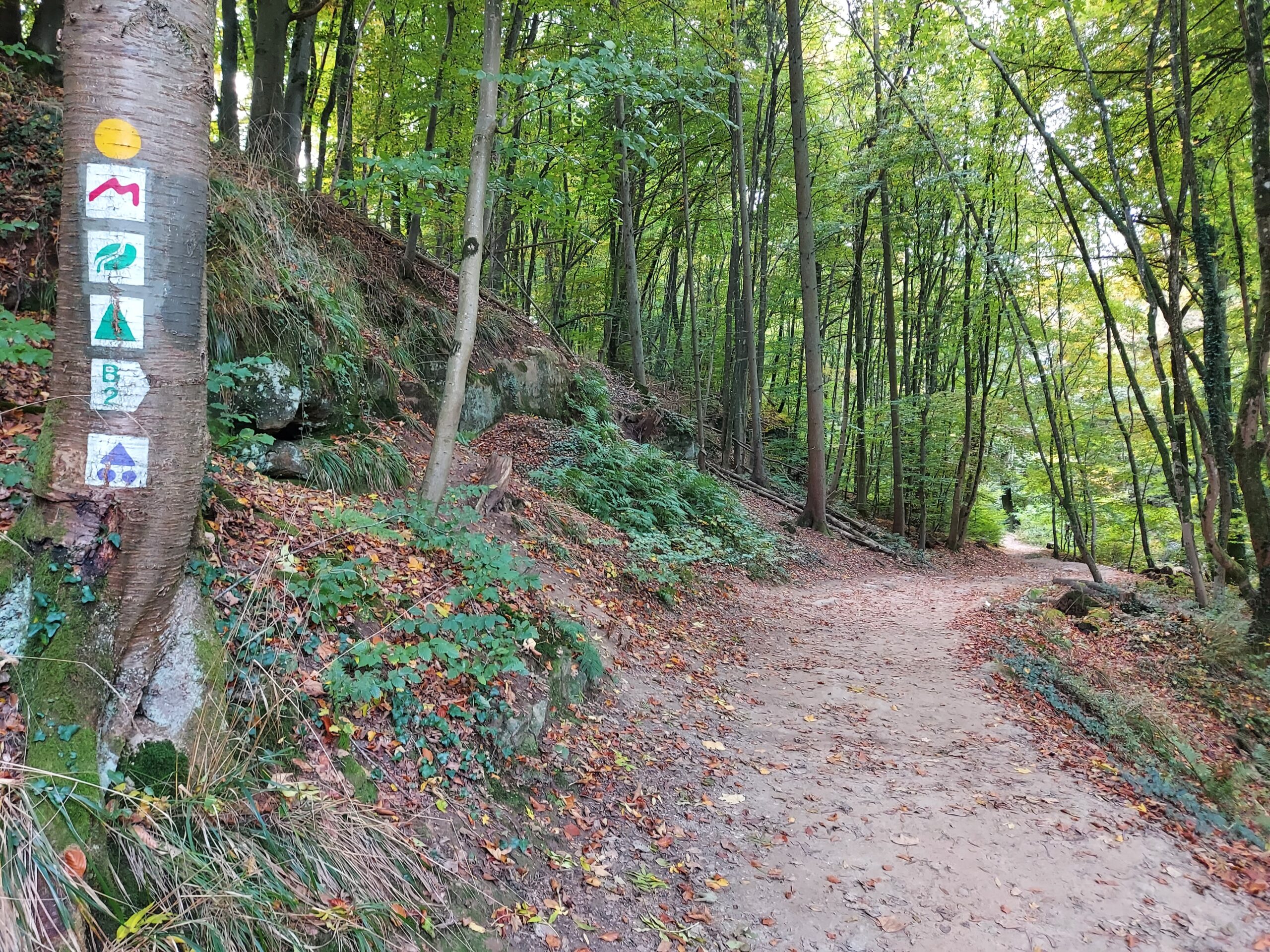 Mullerthal - Gastronomic walk - Image 10