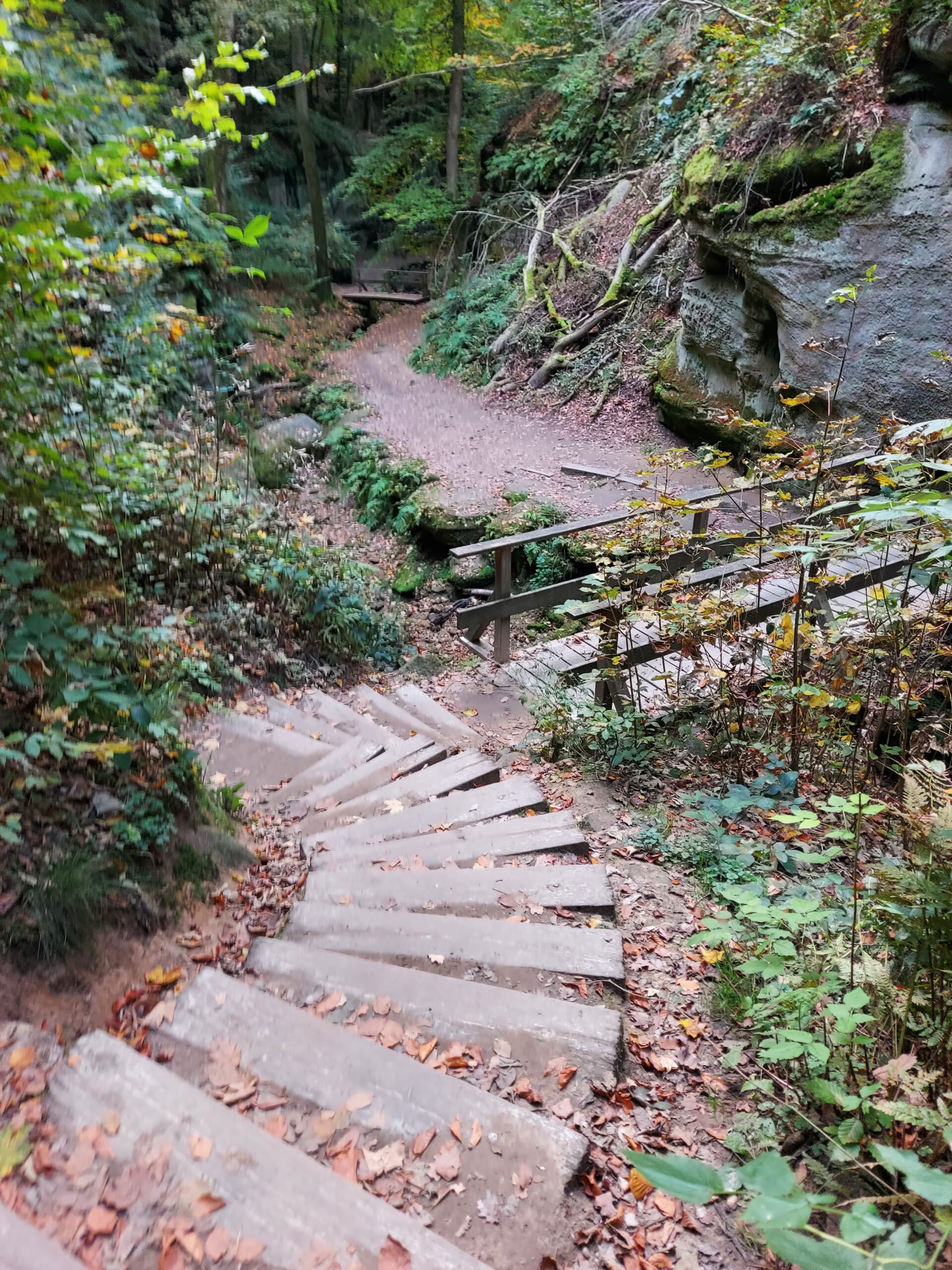 Mullerthal - Gastronomic walk - Image 11