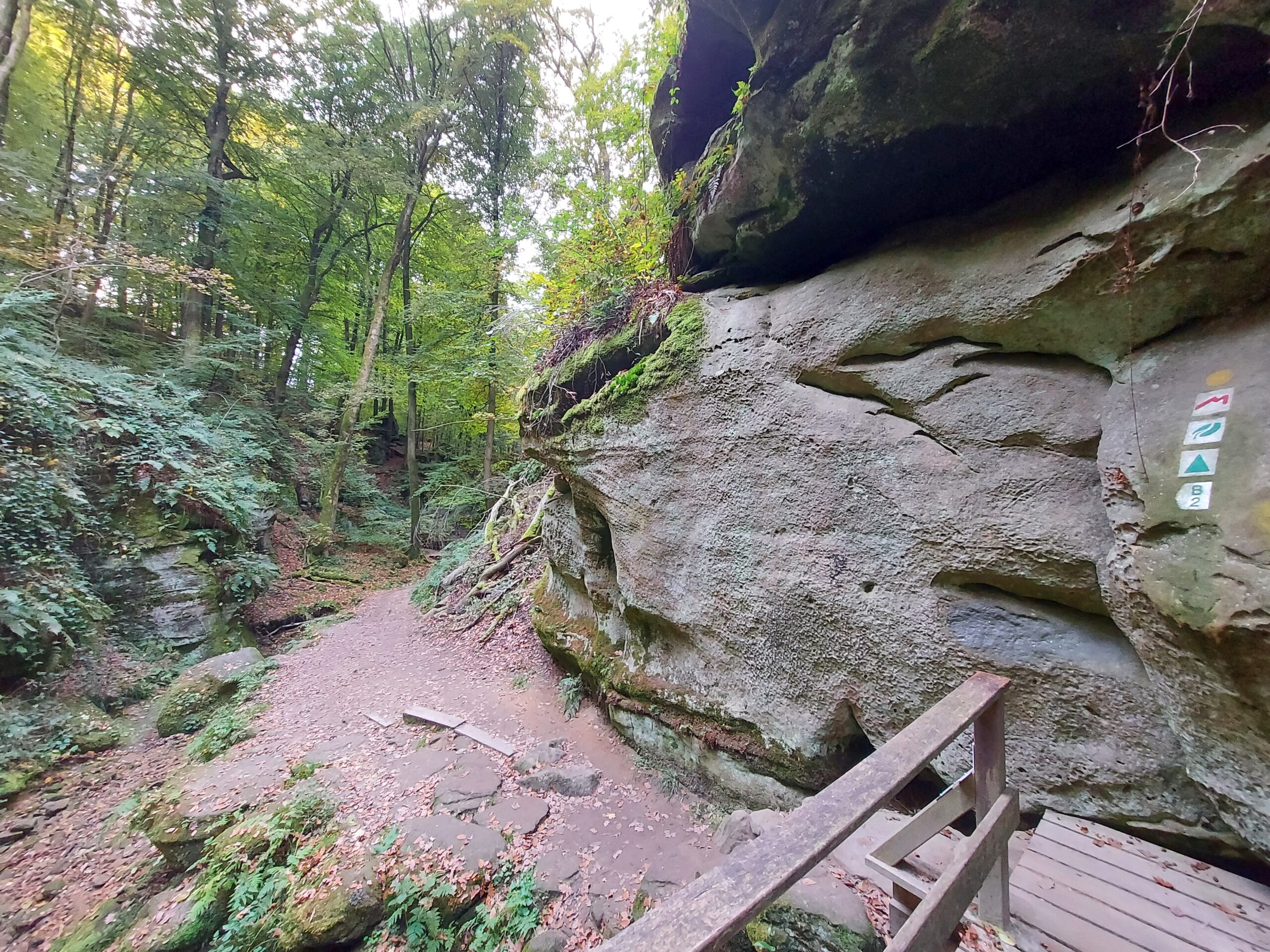 Mullerthal - Gastronomic walk - Image 12