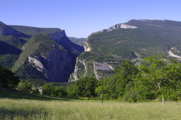 The Gorges du Verdon - Image 5
