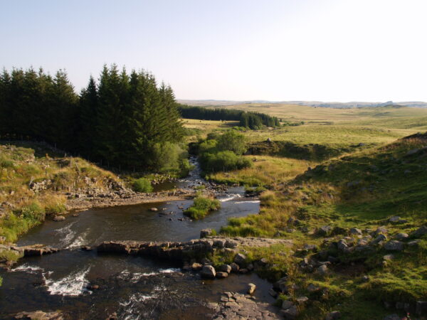 Tour de l'Aubrac - Image 2