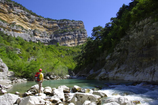 The Gorges du Verdon - Image 10