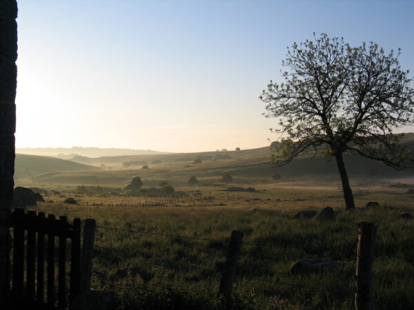 Tour de l'Aubrac - Image 4
