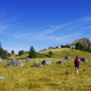 Rondleiding door Aubrac