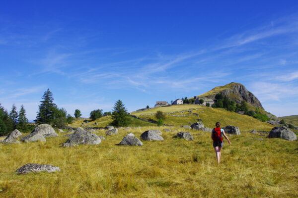 Tour de l'Aubrac