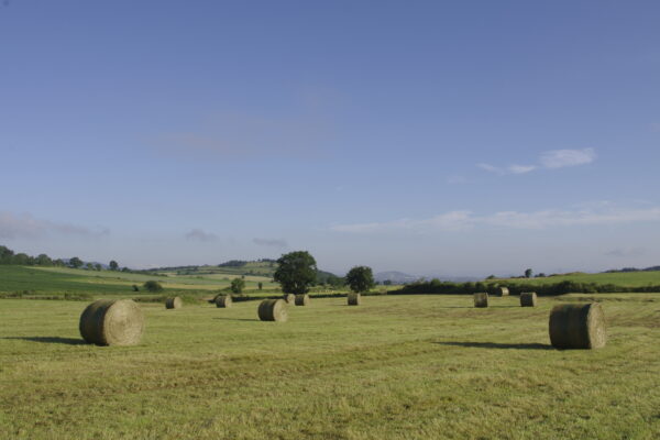Stevenson : l'intégrale du chemin – Image 6