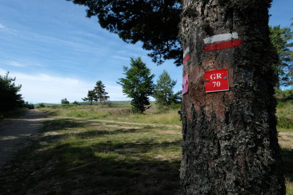 Stevenson : l'intégrale du chemin – Image 8