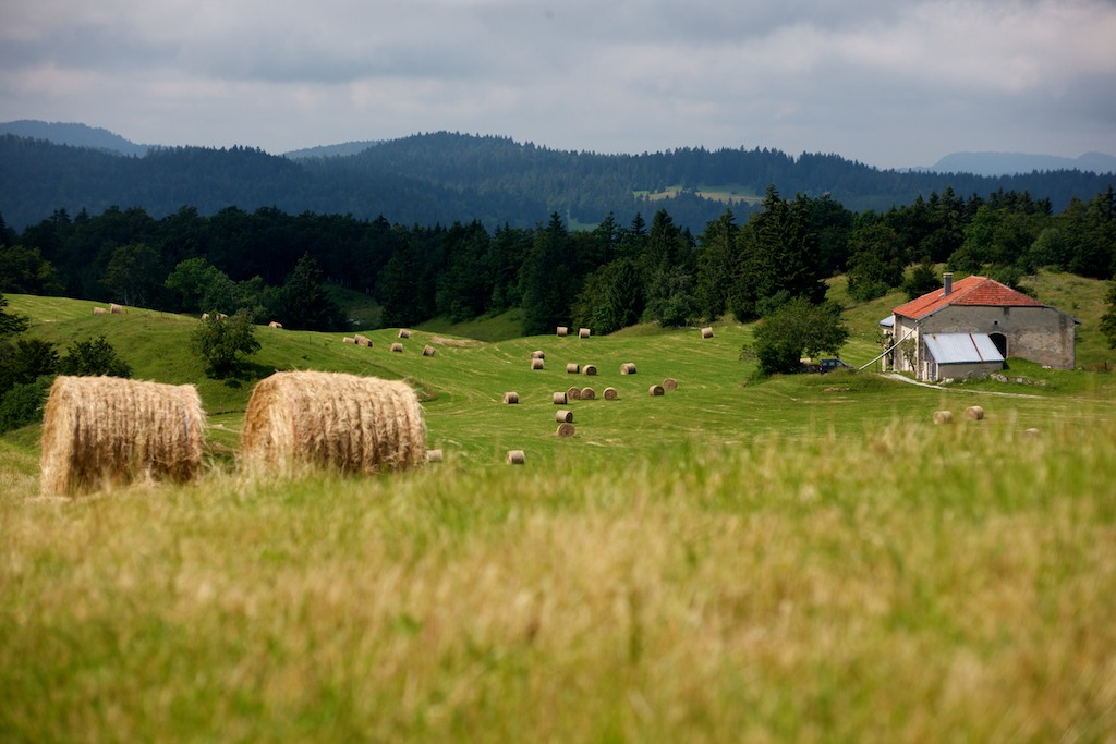 Jura - Monts & Comté – Image 3