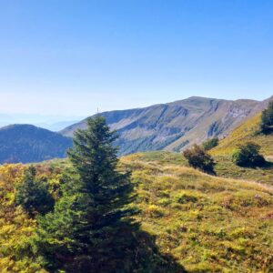 Jura - Monts & Comté