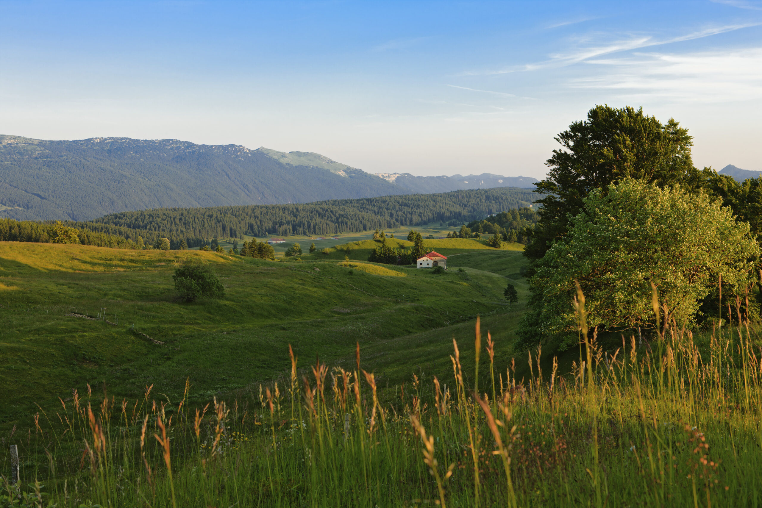 Jura - Monts & Comté – Image 7