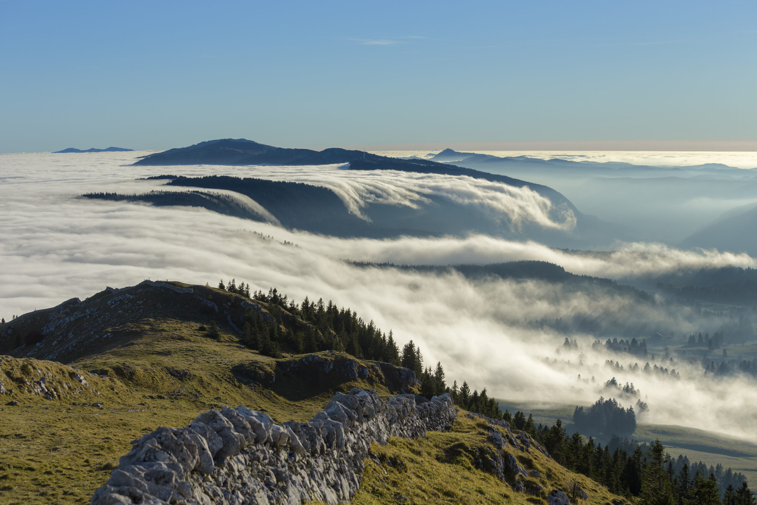Jura - Monts & Comté – Image 8